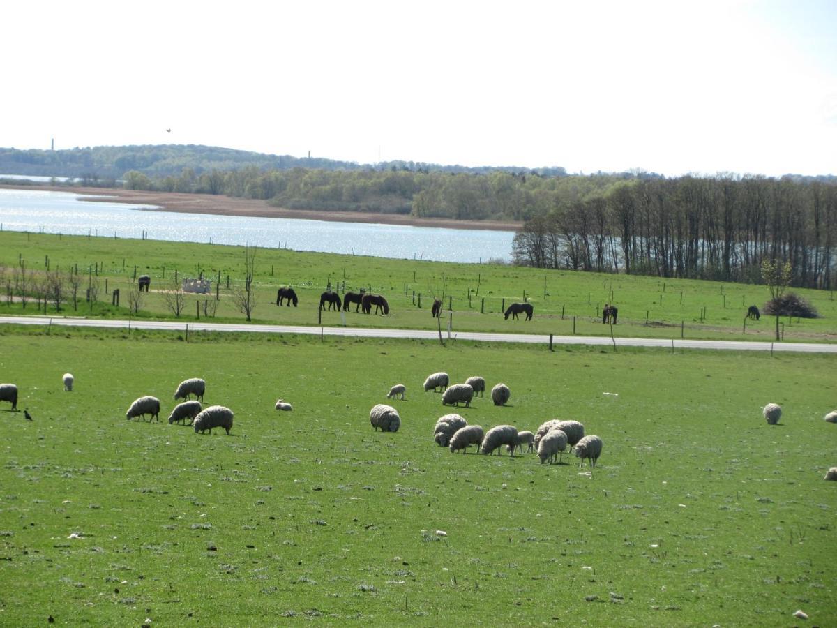 Tisvildehegn Bandb Helsinge Buitenkant foto